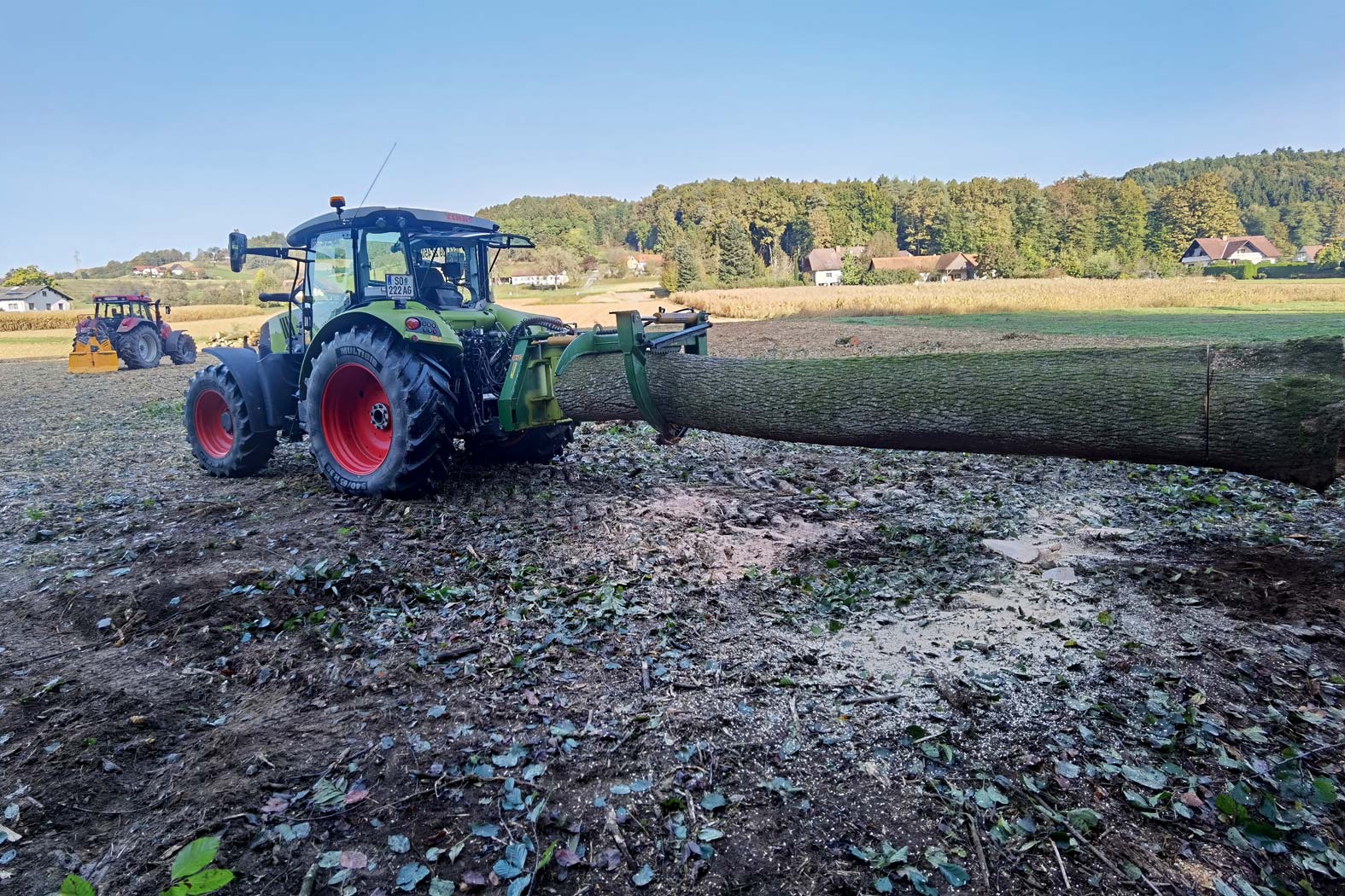 harbmasta stefan harb gruenraumpflege landschaftspflege suedoststeiermark graz-umgebung forstarbeiten holzschlaegerung holzbringung holzpolter