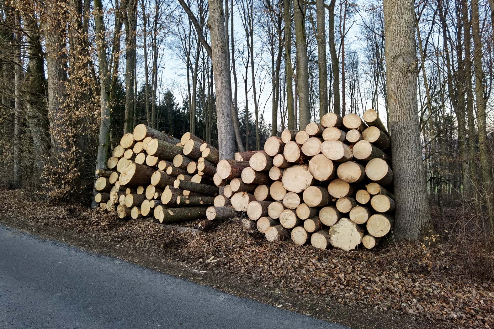 harbmasta stefan harb gruenraumpflege landschaftspflege suedoststeiermark graz-umgebung forstarbeiten holzschlaegerung holzbringung holzpolter