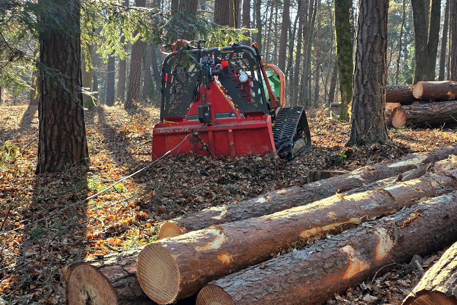 harbmasta stefan harb gruenraumpflege landschaftspflege suedoststeiermark graz-umgebung forstarbeiten holzschlaegerung holzbringung holzpolter