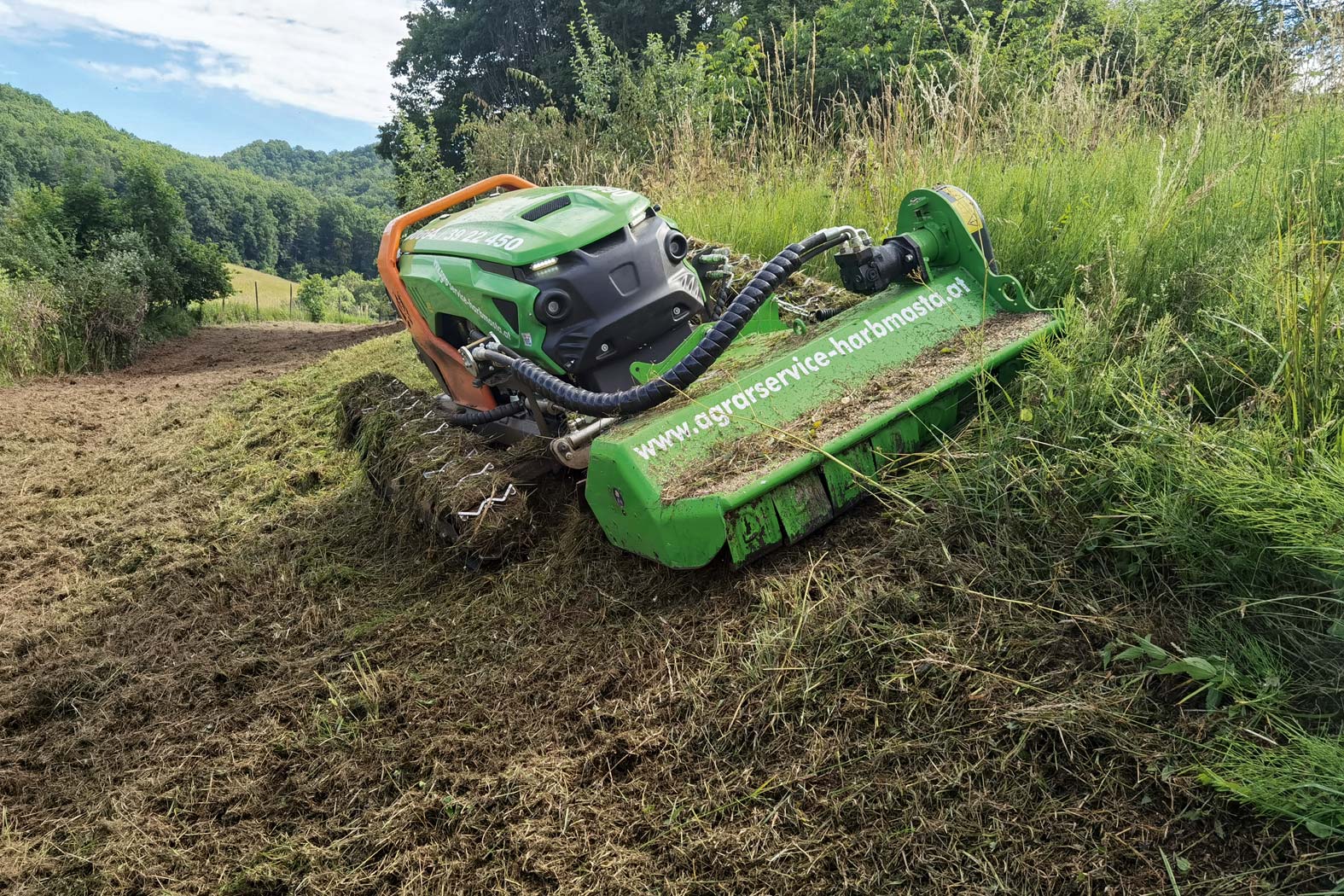 harbmasta stefan harb gruenraumpflege landschaftspflege suedoststeiermark graz-umgebung maehen mulchen wiese boeschungsmaehen Böschungen Weinbau­terrassen verwilderte Obstgärten