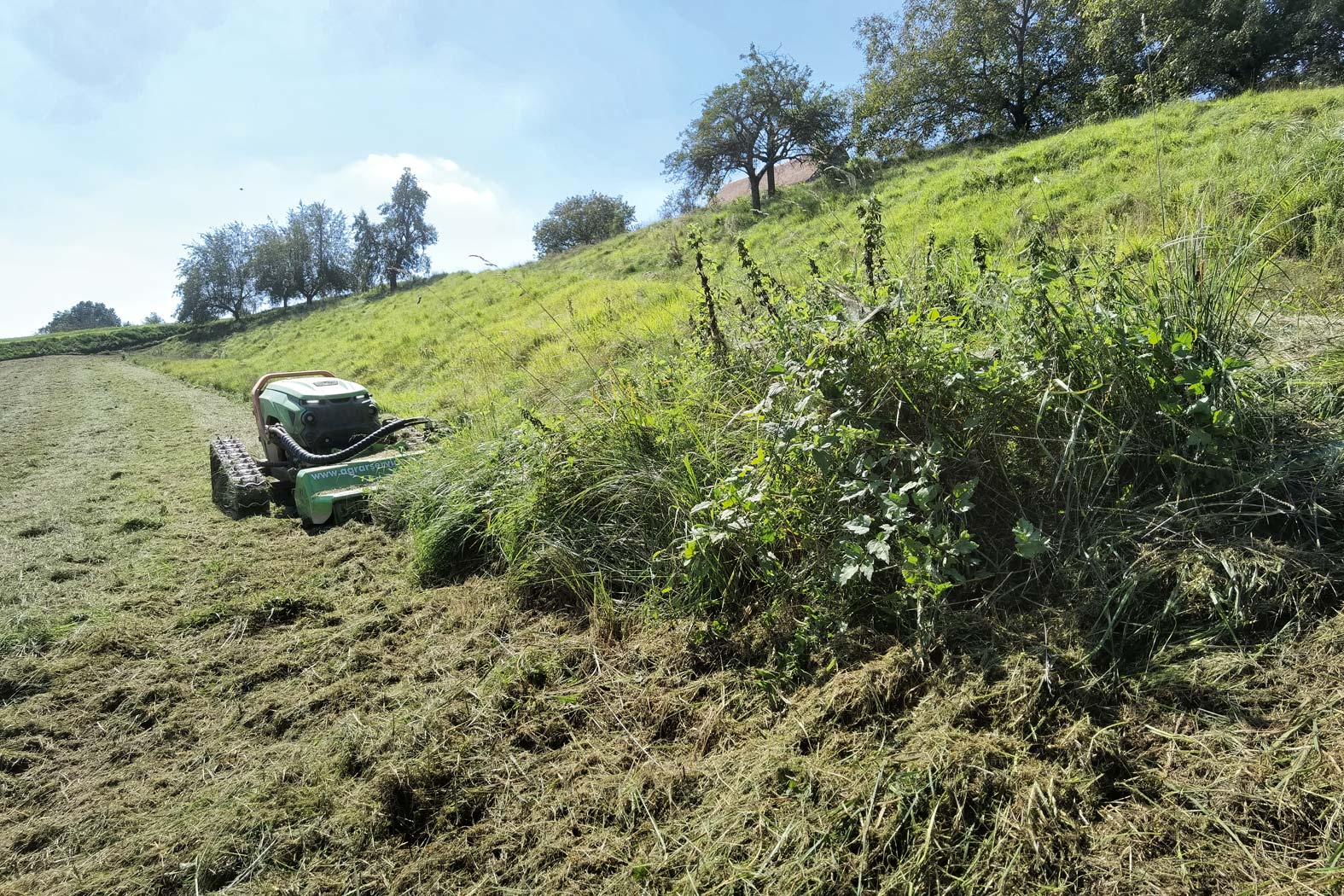 harbmasta stefan harb gruenraumpflege landschaftspflege suedoststeiermark graz-umgebung maehen mulchen wiese boeschungsmaehen Böschungen Weinbau­terrassen verwilderte Obstgärten