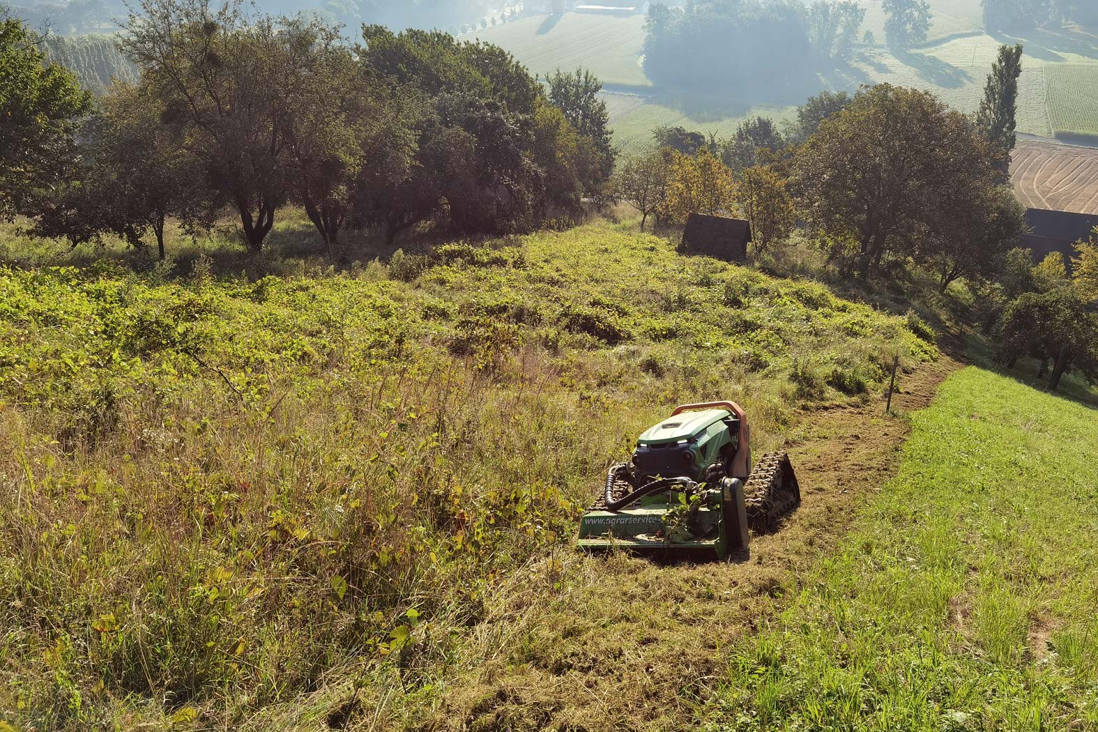 harbmasta stefan harb gruenraumpflege landschaftspflege suedoststeiermark graz-umgebung maehen mulchen wiese boeschungsmaehen Böschungen Weinbau­terrassen verwilderte Obstgärten