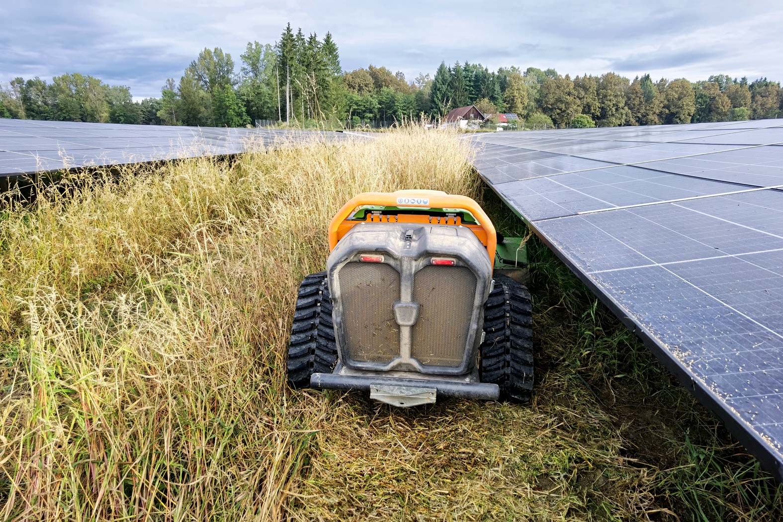 harbmasta stefan harb gruenraumpflege landschaftspflege suedoststeiermark graz-umgebung PV-Anlagen, Freiflächen-Anlagen pflegen Photovoltaik-Anlage Mähraupe