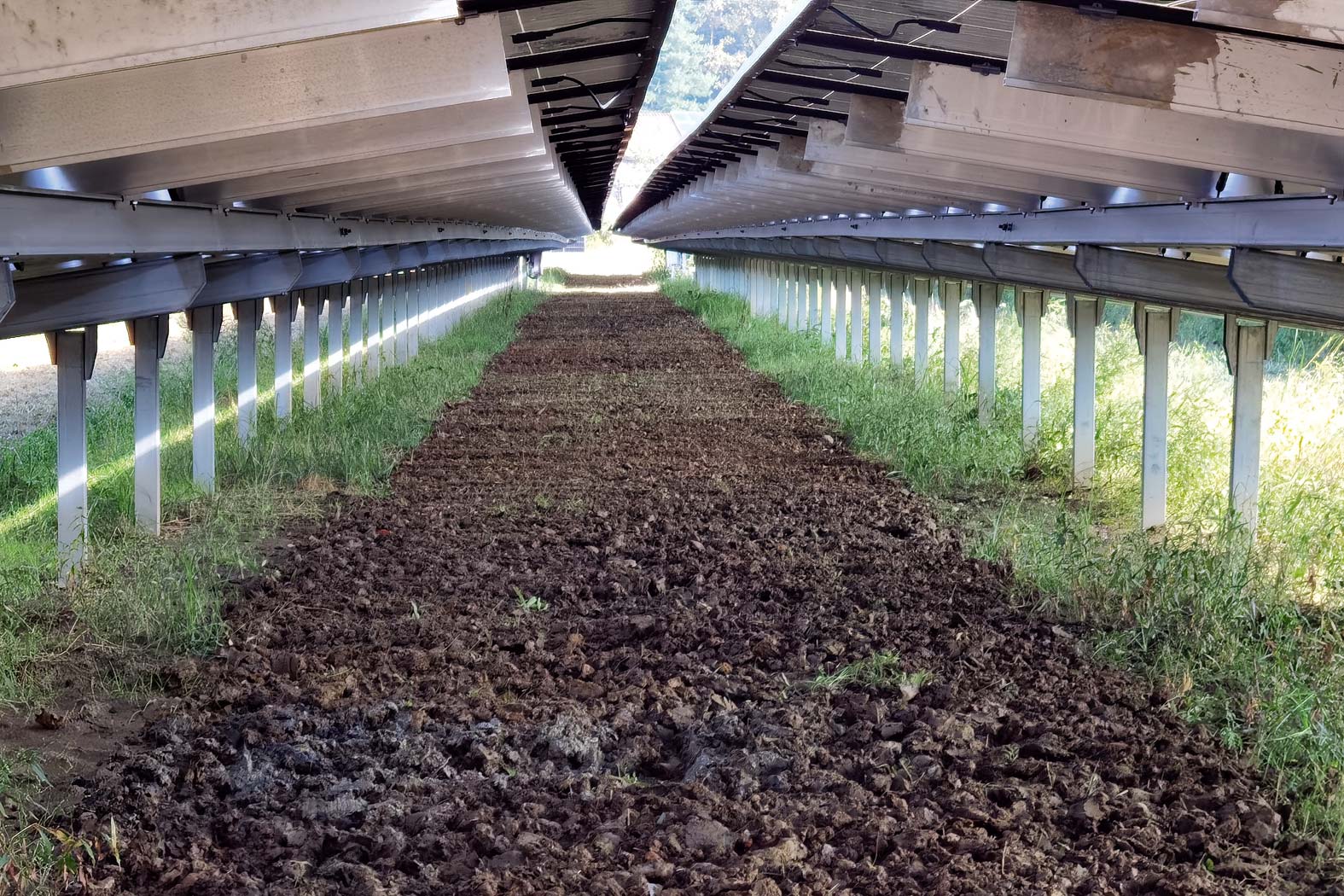 harbmasta stefan harb gruenraumpflege landschaftspflege suedoststeiermark graz-umgebung Agri-PV rekultivieren PV-Anlagen, Freiflächenanlagen pflegen Photovoltaik-Anlage Mähraupe Flurschäden Erdbewegung PV-Module