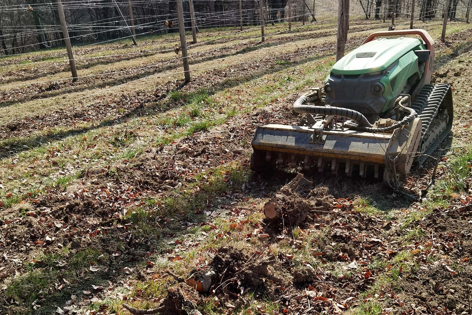 harbmasta stefan harb gruenraumpflege landschaftspflege suedoststeiermark graz-umgebung plantagen weingarten flächen roden planieren begradigen