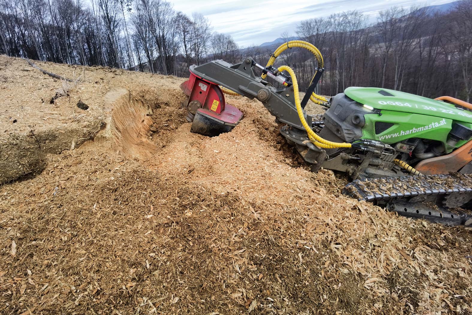 harbmasta stefan harb gruenraumpflege landschaftspflege suedoststeiermark graz-umgebung wurzelstockfräsen forstfräsen stockfräsen wurzelstock entfernen