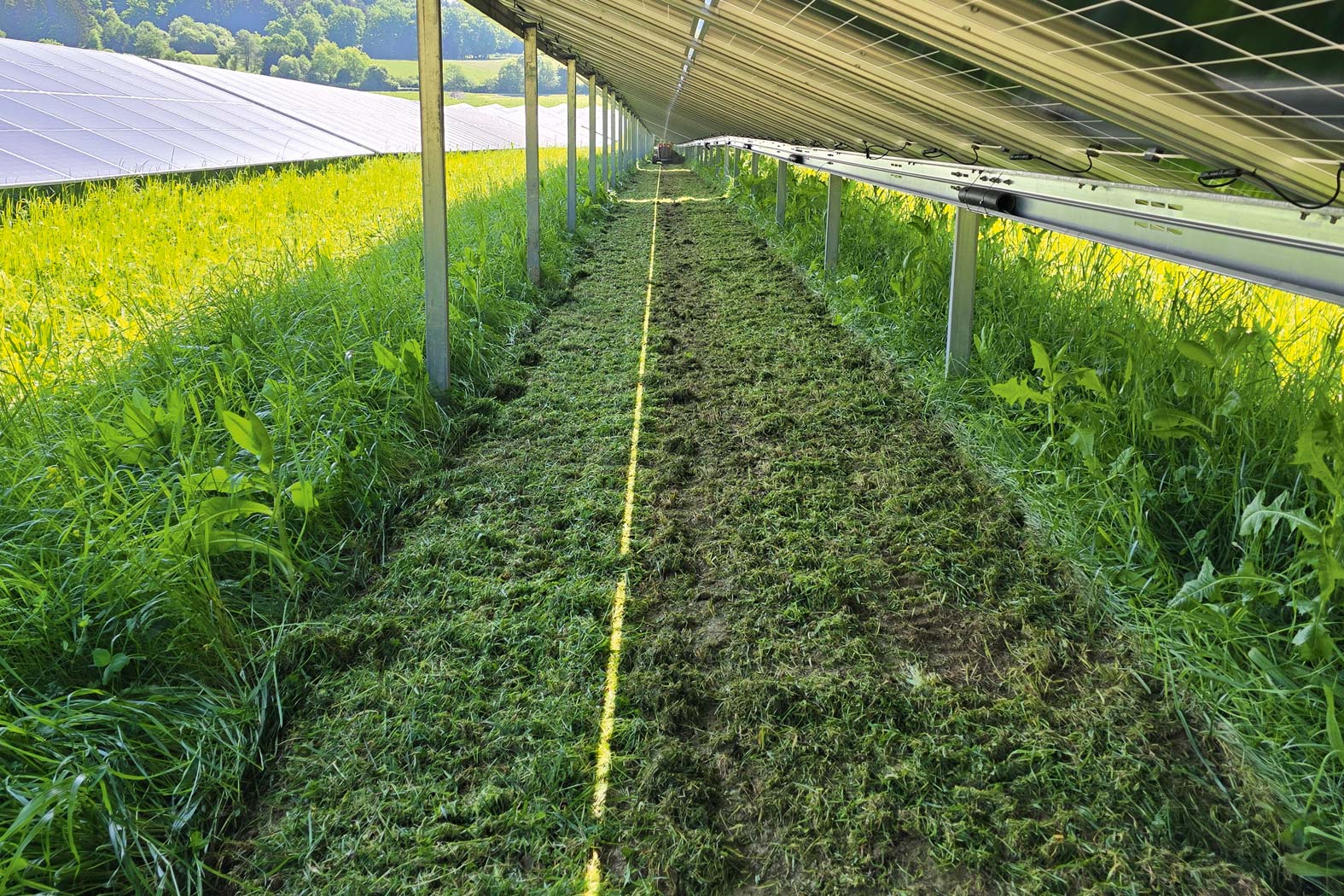 harbmasta stefan harb gruenraumpflege landschaftspflege suedoststeiermark graz-umgebung PV-Anlagen, Freiflächen-Anlagen pflegen Photovoltaik-Anlage Mähraupe