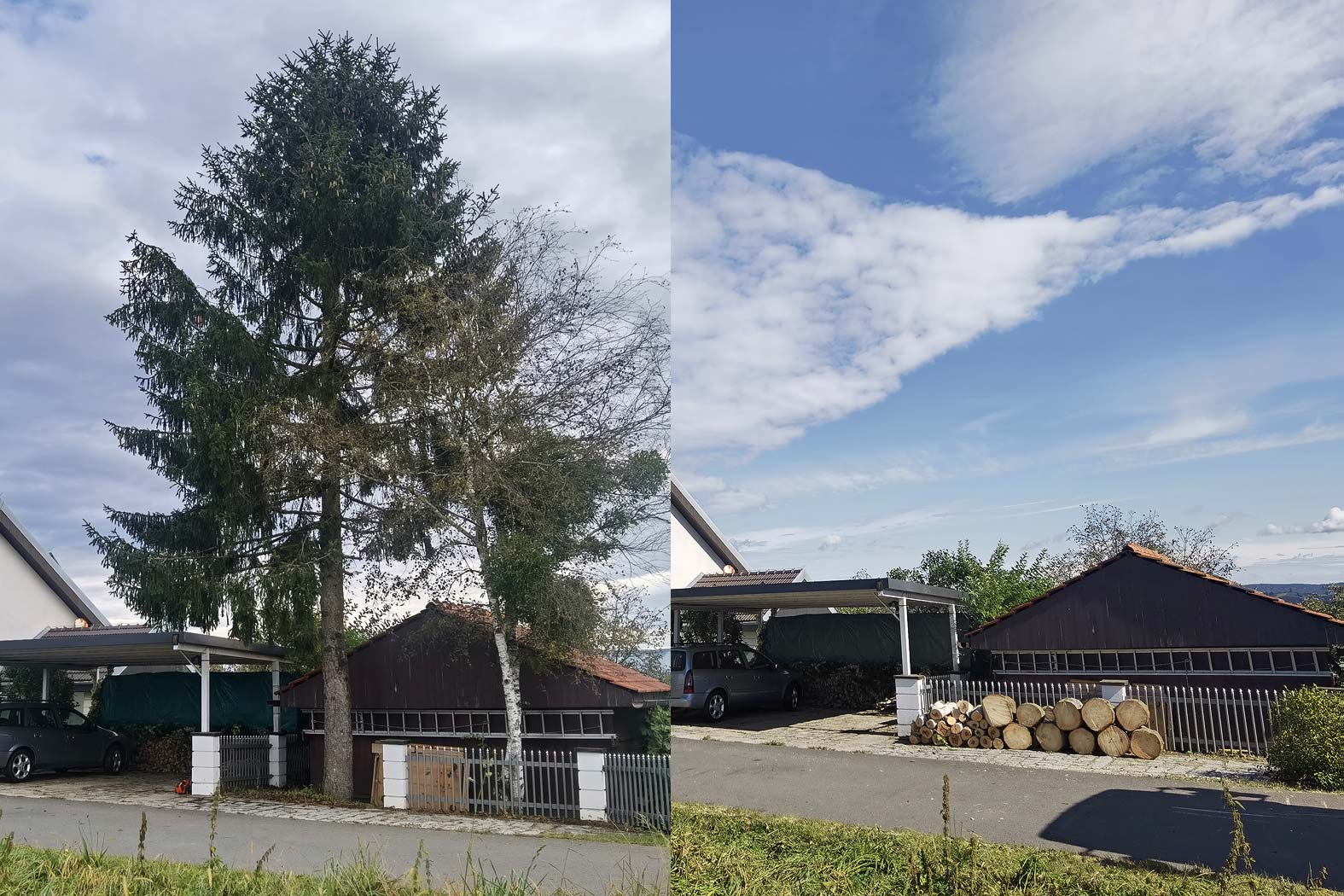 harbmasta stefan harb gruenraumpflege landschaftspflege suedoststeiermark graz-umgebung baumabtragung sturmschäden gefahrenbaum entfernen