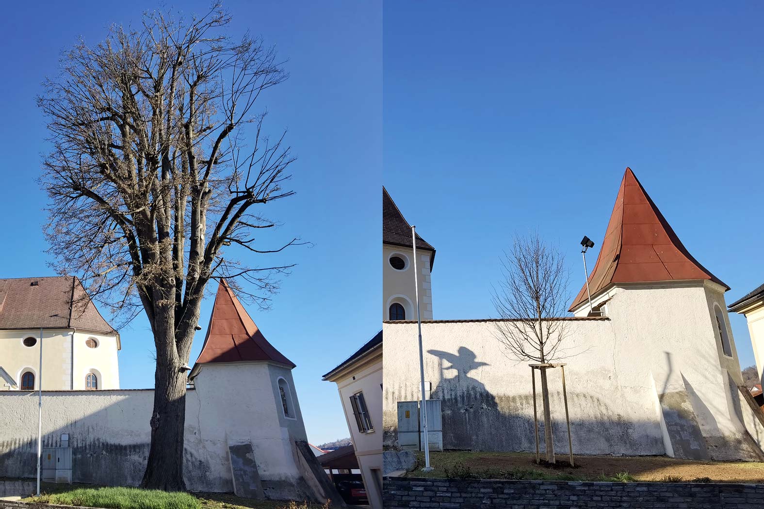 harbmasta stefan harb gruenraumpflege landschaftspflege suedoststeiermark graz-umgebung baumabtragung sturmschäden gefahrenbaum entfernen
