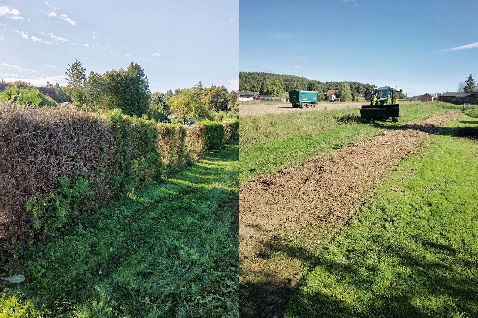 harbmasta stefan harb gruenraumpflege landschaftspflege suedoststeiermark graz-umgebung Thujen Hecken Bodendecker Efeu Gestrüpp entfernen