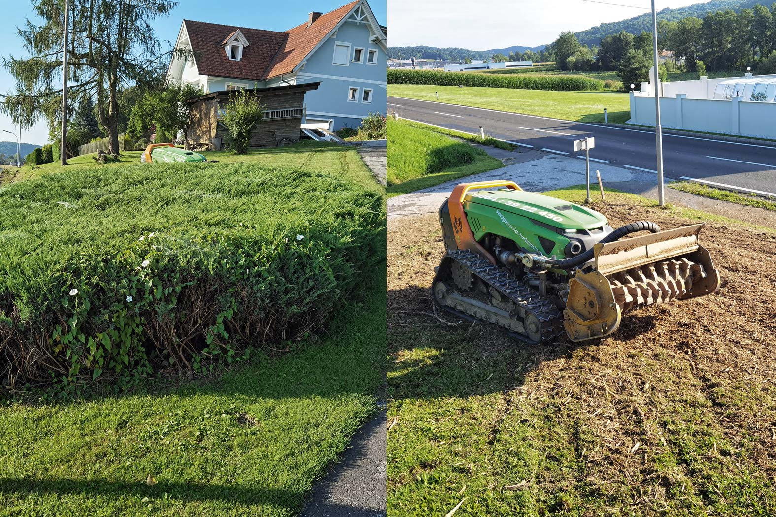 harbmasta stefan harb gruenraumpflege landschaftspflege suedoststeiermark graz-umgebung Thujen Hecken Bodendecker Efeu Gestrüpp entfernen