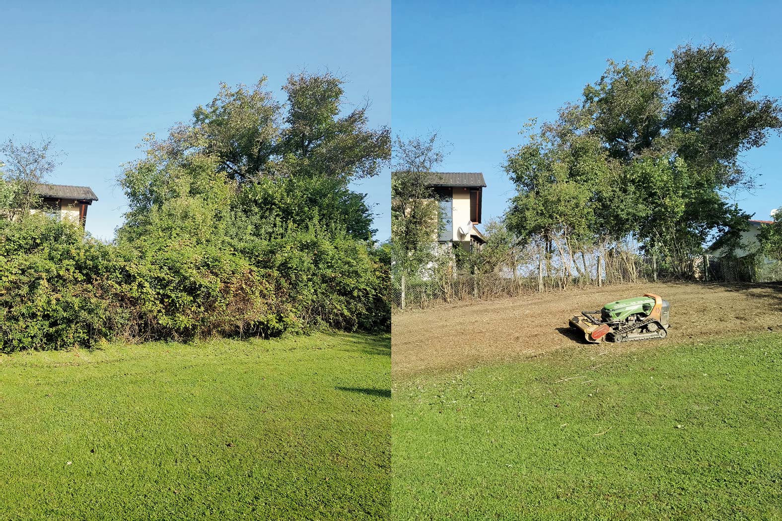 harbmasta stefan harb gruenraumpflege landschaftspflege suedoststeiermark graz-umgebung Thujen Hecken Bodendecker Efeu Gestrüpp entfernen