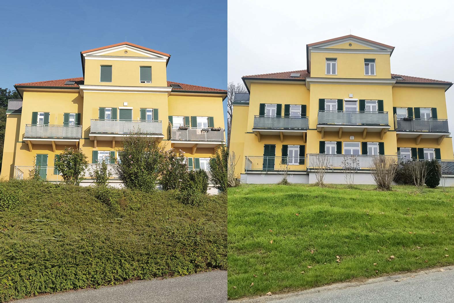 harbmasta stefan harb gruenraumpflege landschaftspflege suedoststeiermark graz-umgebung Thujen Hecken Bodendecker Efeu Gestrüpp entfernen