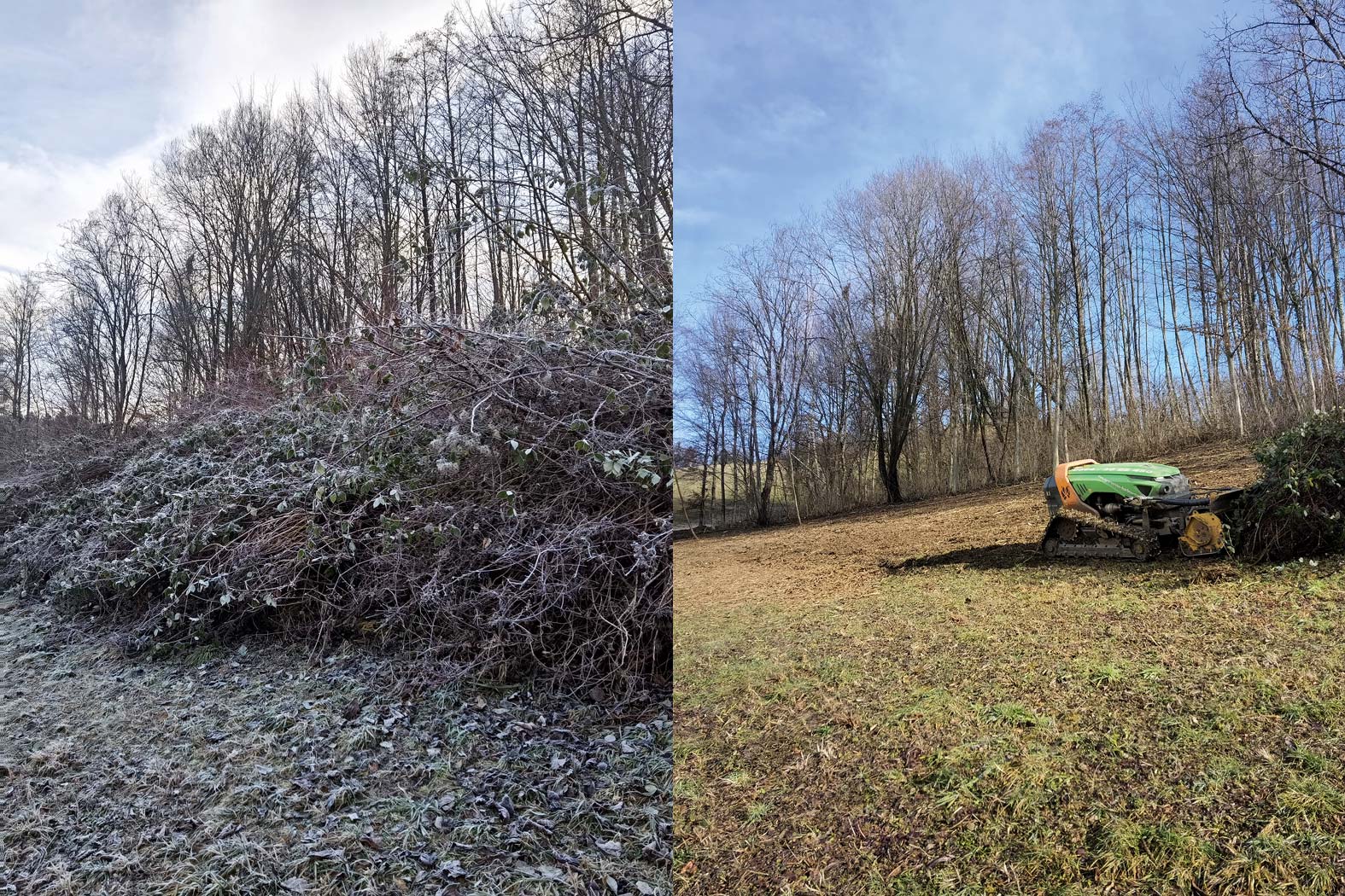harbmasta stefan harb gruenraumpflege landschaftspflege suedoststeiermark graz-umgebung wildwuchs dornen entfernen verwilderte flächen jungwaldpflege