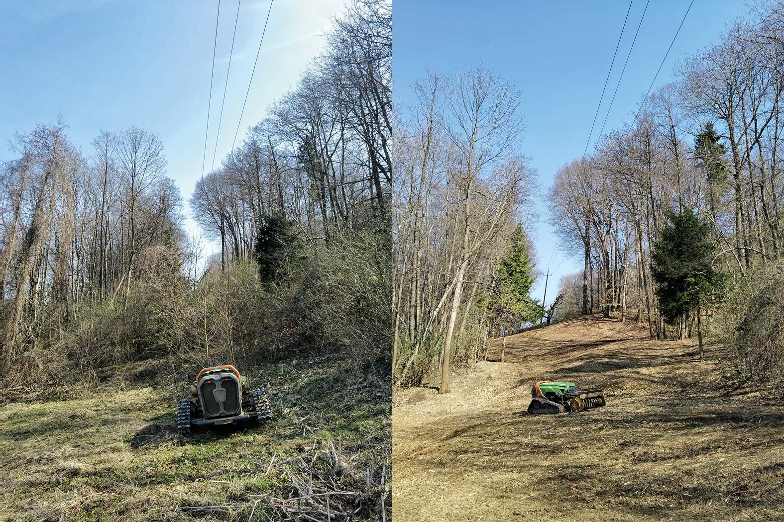 harbmasta stefan harb gruenraumpflege landschaftspflege suedoststeiermark graz-umgebung wildwuchs dornen entfernen verwilderte flächen jungwaldpflege