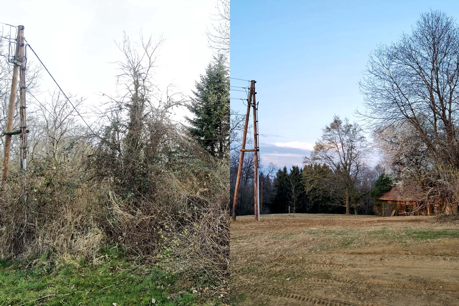 harbmasta stefan harb gruenraumpflege landschaftspflege suedoststeiermark graz-umgebung wildwuchs dornen entfernen verwilderte flächen jungwaldpflege