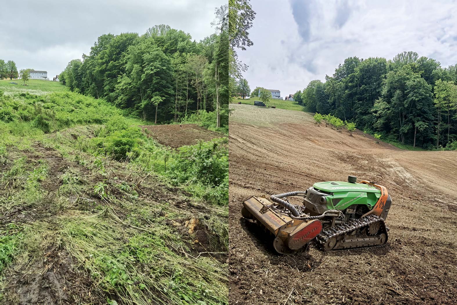 harbmasta stefan harb gruenraumpflege landschaftspflege suedoststeiermark graz-umgebung wildwuchs dornen entfernen verwilderte flächen jungwaldpflege