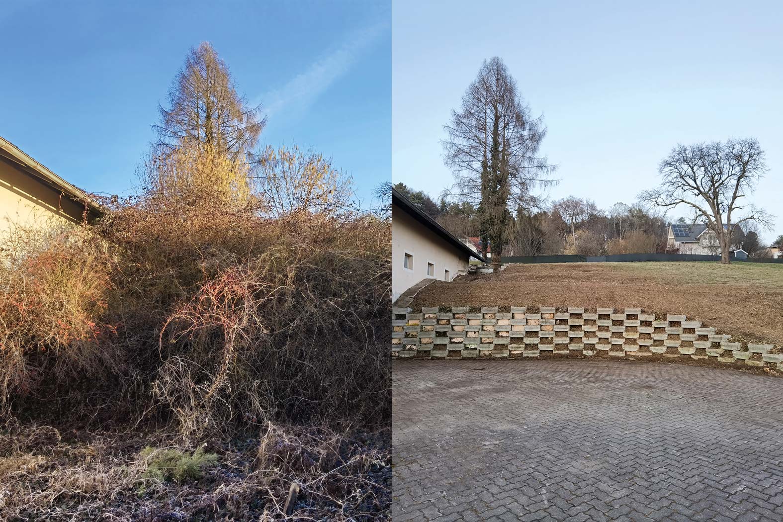 harbmasta stefan harb gruenraumpflege landschaftspflege suedoststeiermark graz-umgebung wildwuchs dornen entfernen verwilderte flächen jungwaldpflege