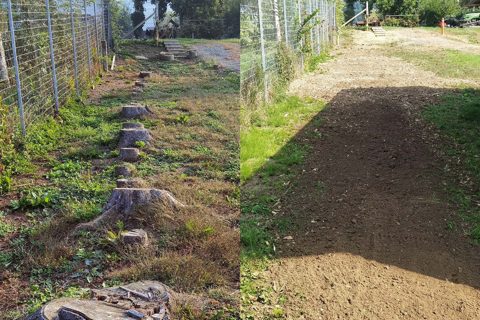 harbmasta stefan harb gruenraumpflege landschaftspflege suedoststeiermark graz-umgebung wurzelstockfräsen forstfräsen stockfräsen wurzelstock entfernen