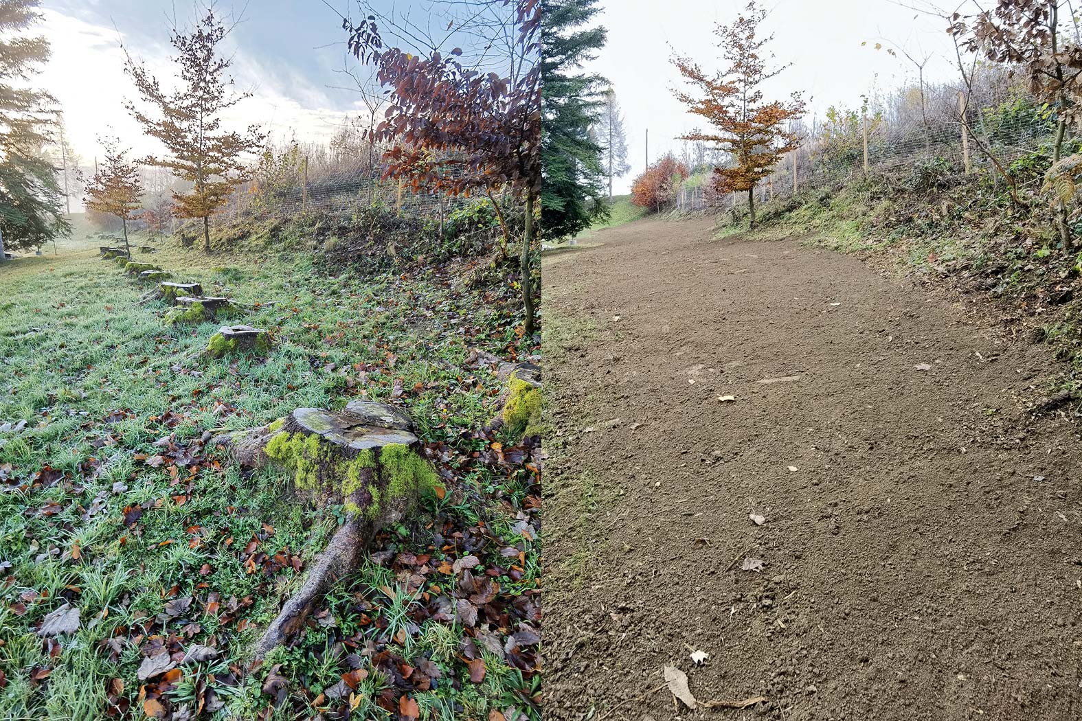 harbmasta stefan harb gruenraumpflege landschaftspflege suedoststeiermark graz-umgebung wurzelstockfräsen forstfräsen stockfräsen wurzelstock entfernen